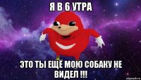 я в 6 утра это ты ещё мою собаку не видел !!!