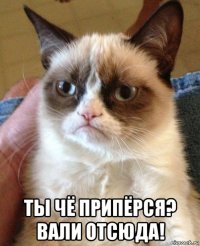  ты чё припёрся? вали отсюда!