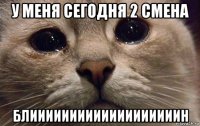 у меня сегодня 2 смена блииииииииииииииииииин