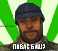  пивас буш?