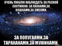 очень люблю наблюдать за разной скотиною: за пауками,за кошками,за змеями, за попугаями,за тараканами,за мужиками.