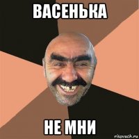 васенька не мни