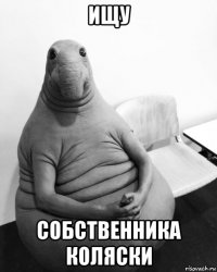 ищу собственника коляски