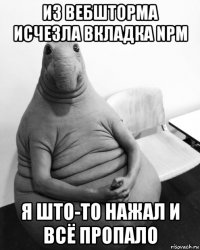 из вебшторма исчезла вкладка npm я што-то нажал и всё пропало