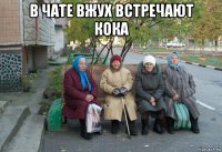 в чате вжух встречают кока 