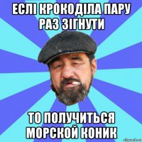 еслі крокоділа пару раз зігнути то получиться морской коник