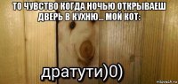 то чувство когда ночью открываеш дверь в кухню... мой кот: 