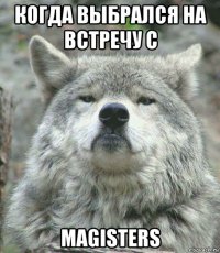 когда выбрался на встречу с magisters