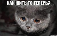 как жить то теперь? 