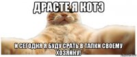 драсте я котэ и сегодня я буду срать в тапки своему хозяйну!