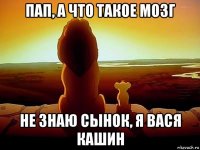 пап, а что такое мозг не знаю сынок, я вася кашин