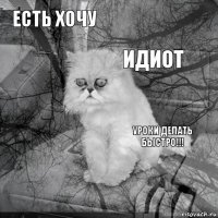 Есть хочу УРОКИ ДЕЛАТЬ БЫСТРО!!! Идиот       