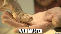  web master