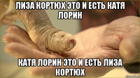 лиза кортюх это и есть катя лорин катя лорин это и есть лиза кортюх