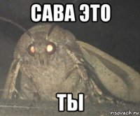 сава это ты