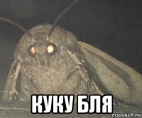  куку бля