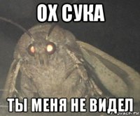 ох сука ты меня не видел