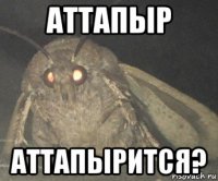 аттапыр аттапырится?