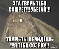 эта тварь тебя сожрёт!!! убегай!!! тварь:ты не уйдёшь !!!я тебя созрю!!!