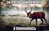 эй олень дай пожрать я лооооооось