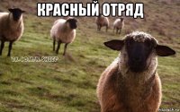 красный отряд 