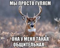 мы просто гуляем она у меня такая общительная...