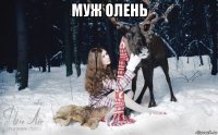 муж олень 