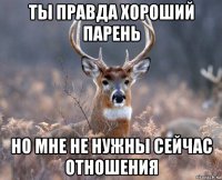 ты правда хороший парень но мне не нужны сейчас отношения