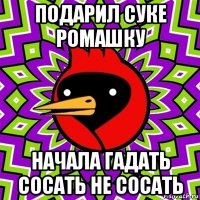 подарил суке ромашку начала гадать сосать не сосать