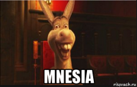  mnesia