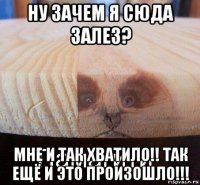 ну зачем я сюда залез? мне и так хватило!! так ещё и это произошло!!!