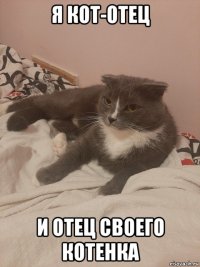 я кот-отец и отец своего котенка