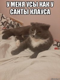 у меня усы как у санты клауса 