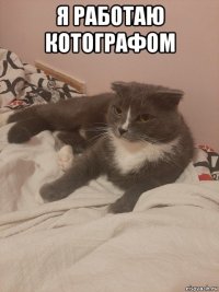 я работаю котографом 