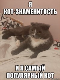 я кот-знаменитость и я самый популярный кот