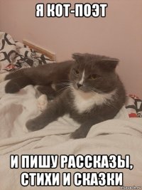 я кот-поэт и пишу рассказы, стихи и сказки