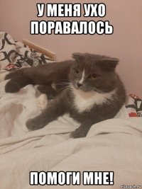 у меня ухо поравалось помоги мне!