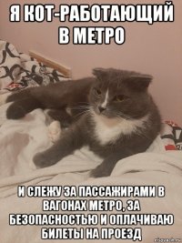 я кот-работающий в метро и слежу за пассажирами в вагонах метро, за безопасностью и оплачиваю билеты на проезд