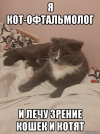 я кот-офтальмолог и лечу зрение кошек и котят