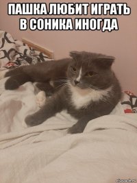 пашка любит играть в соника иногда 