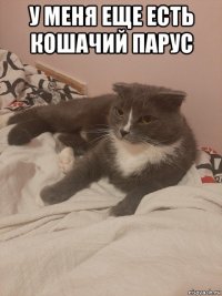 у меня еще есть кошачий парус 