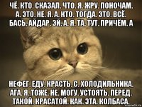 чё. кто. сказал. что. я. жру. поночам. а. это. не. я. а. кто. тогда. это. всё. бась. айдар. эй. а. я. та. тут. причём. а нефег. еду. красть. с. холодильника. ага. я. тоже. не. могу. устоять. перед. такой. красатой. как. эта. колбаса.