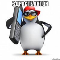 здрасте антон 