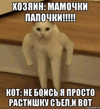 хозяин: мамочки папочки!!!!! кот: не боись я просто растишку съел,и вот