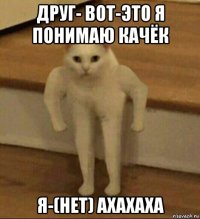 друг- вот-это я понимаю качёк я-(нет) ахахаха