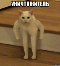 уничтожитель 