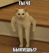 ты чё быкуешь!?