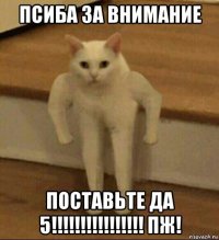 псиба за внимание поставьте да 5!!!!!!!!!!!!!!!! пж!