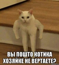  вы пошто котика хозяйке не вертаете?