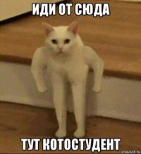 иди от сюда тут котостудент